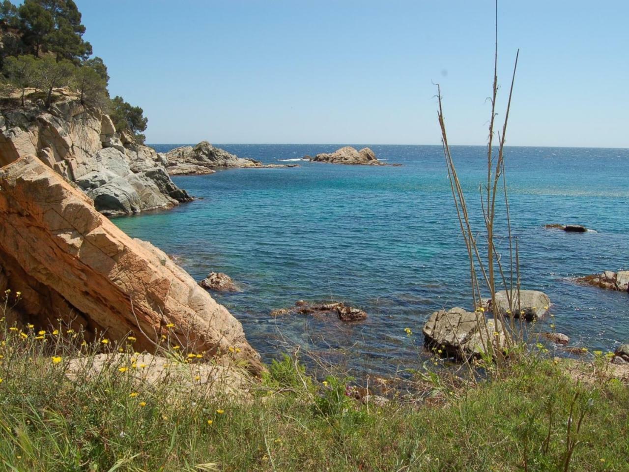 Studios Face A La Mer - Cala Llevado Tossa de Mar Ngoại thất bức ảnh