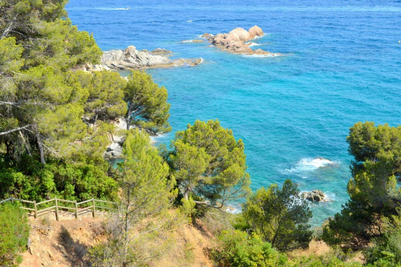 Studios Face A La Mer - Cala Llevado Tossa de Mar Ngoại thất bức ảnh